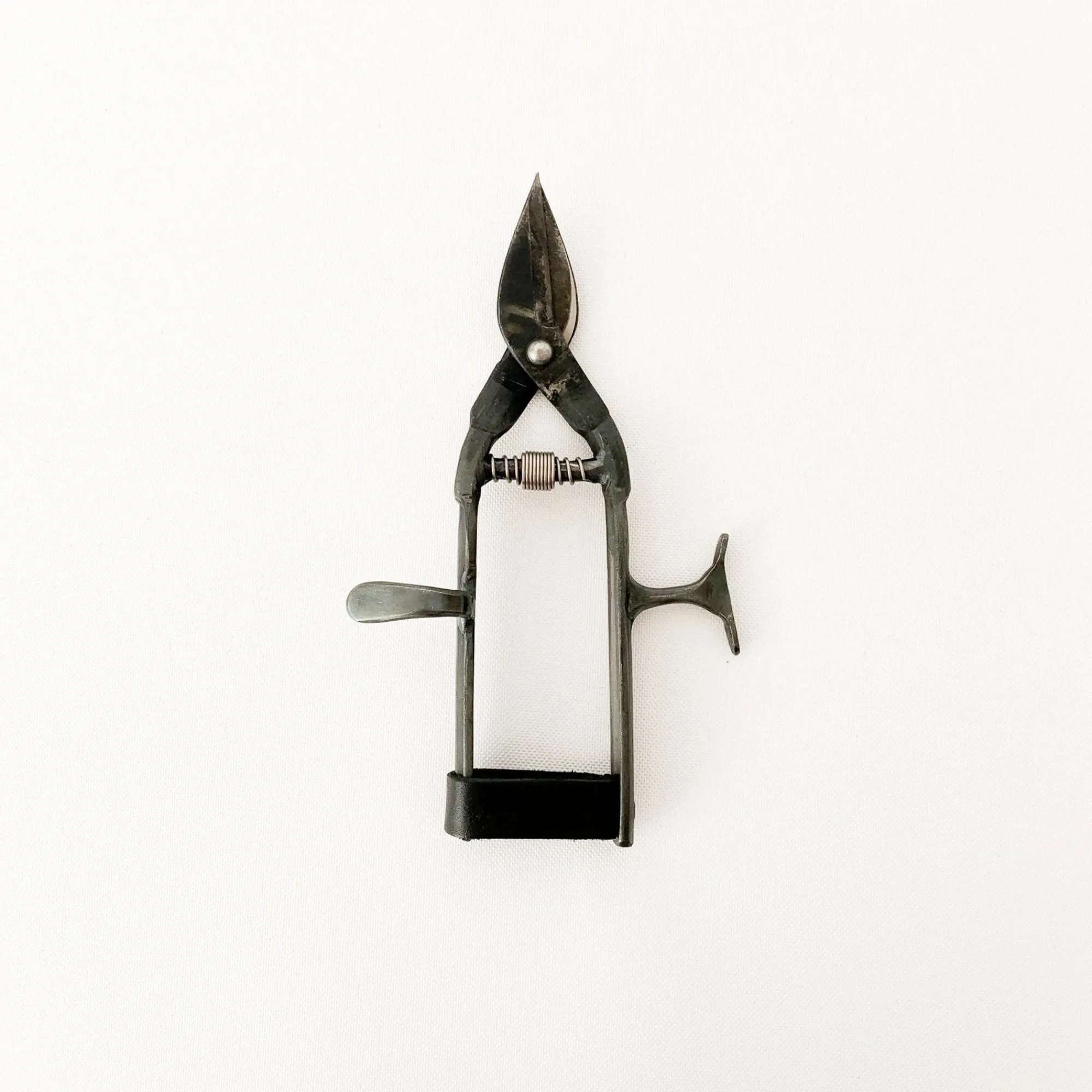 TORTOISE-yellow paper Tajika Outdoor*Tajika Garden Scissors