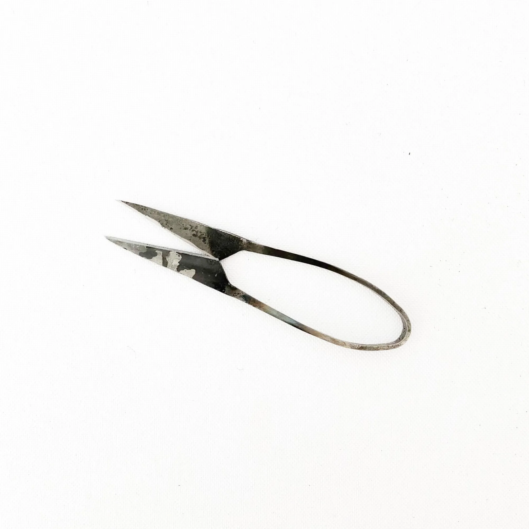TORTOISE-yellow paper Tajika Outdoor*Tajika Herb Scissors