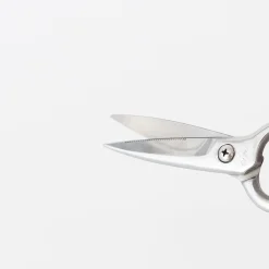 TORTOISE-yellow paper Tajika Cooking*Tajika Kitchen Scissors
