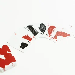 SAIKAI (Others) Kids & Baby*Takenobu Igarashi Playing Cards