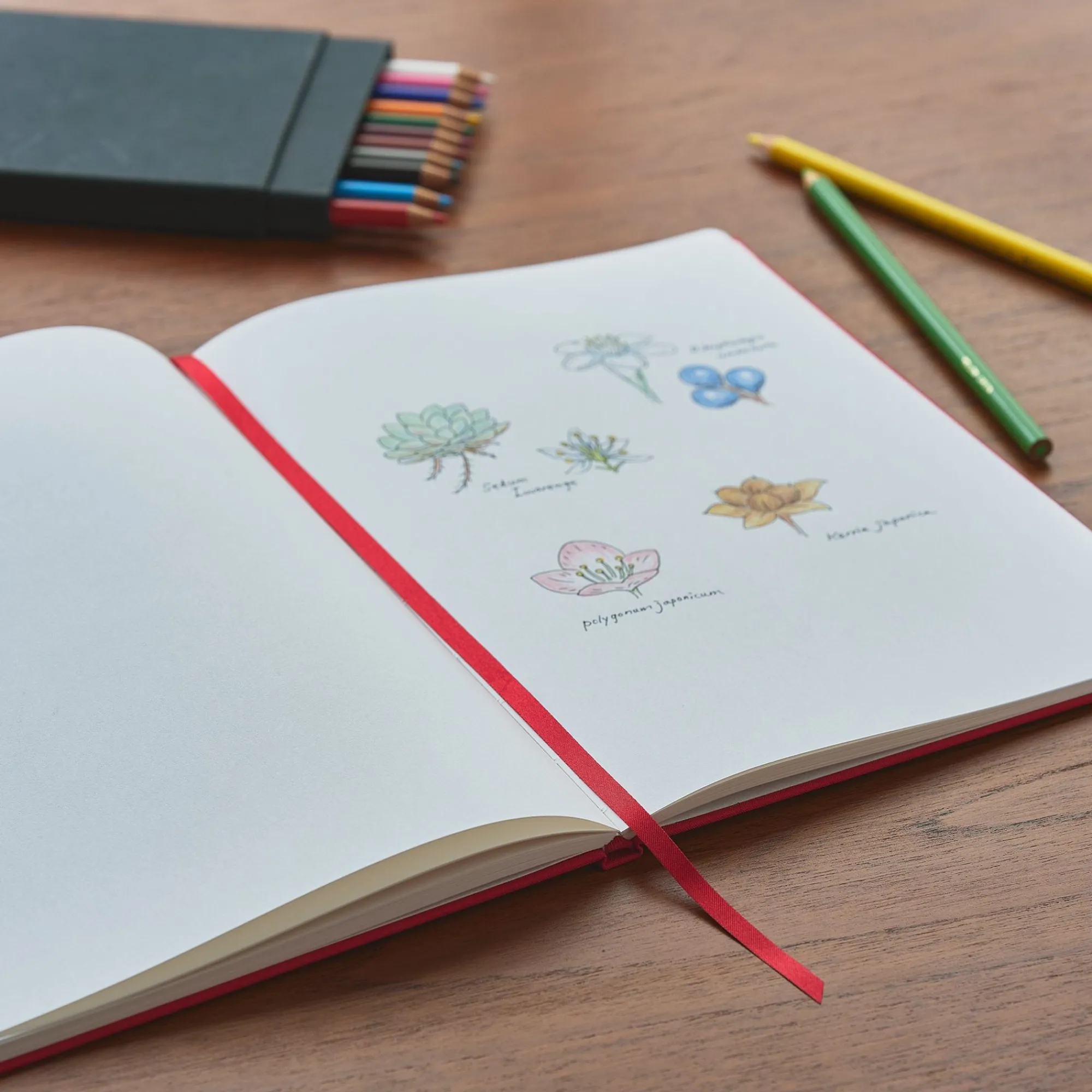 Takeo Paper Office*Takeo Dressco Cloth Notebook