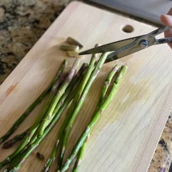 SAIKAI (Others) Cooking*Toribe Kitchen Scissors [Ts750]