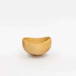 TORTOISE Art*Wooden Bowl Sculpture By Kenji Usuda (2023)