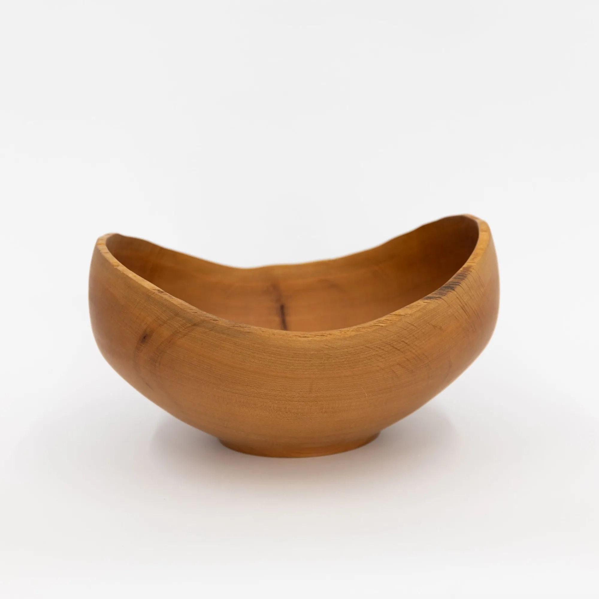 TORTOISE Art*Wooden Bowl Sculpture By Kenji Usuda (2023)