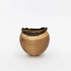 TORTOISE Art*Wooden Bowl Sculpture By Kenji Usuda (2023)