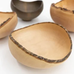 TORTOISE Art*Wooden Bowl Sculpture By Kenji Usuda (2023)