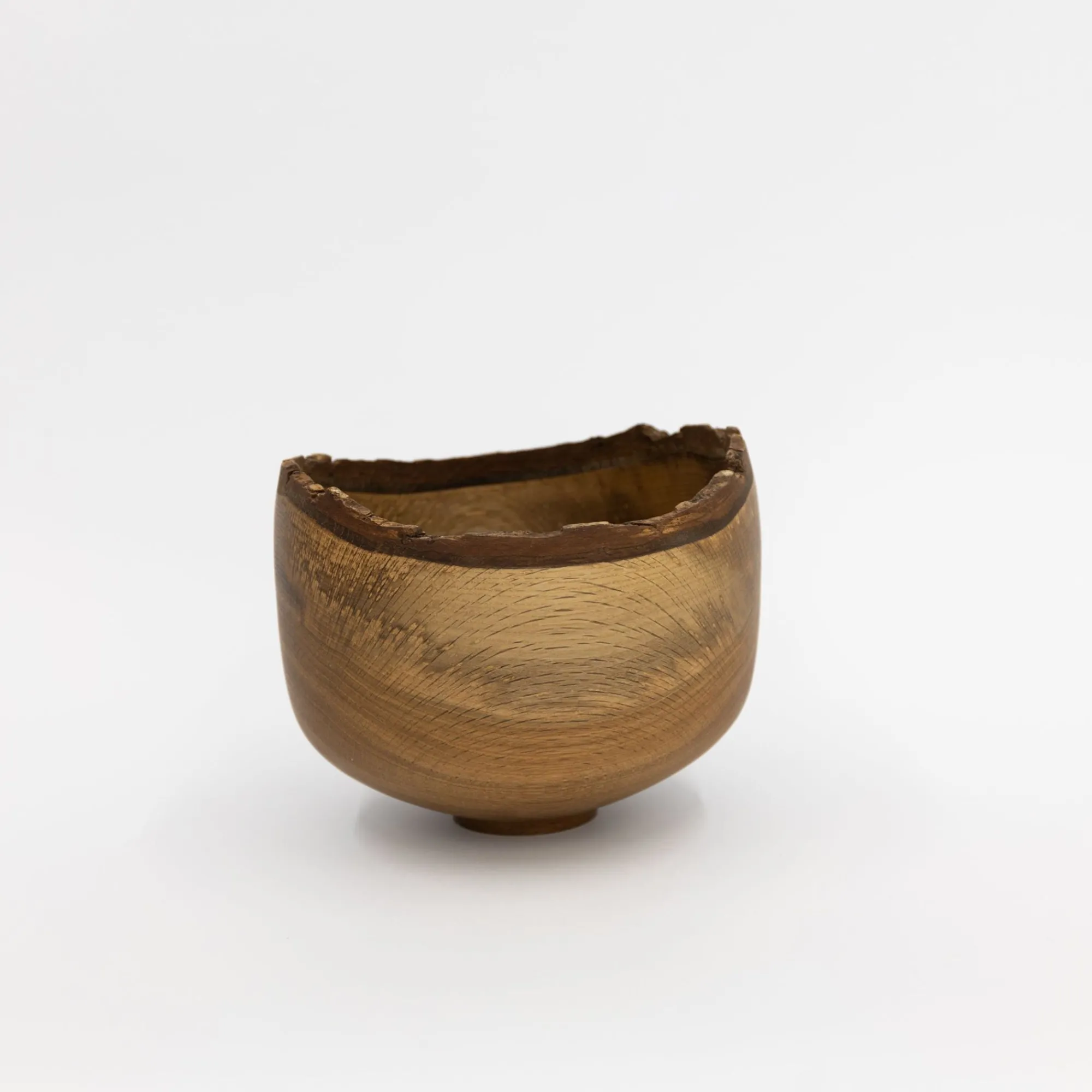 TORTOISE Art*Wooden Bowl Sculpture By Kenji Usuda (2023)