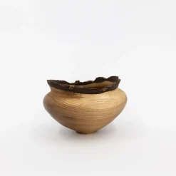 TORTOISE Art*Wooden Bowl Sculpture By Kenji Usuda (2023)