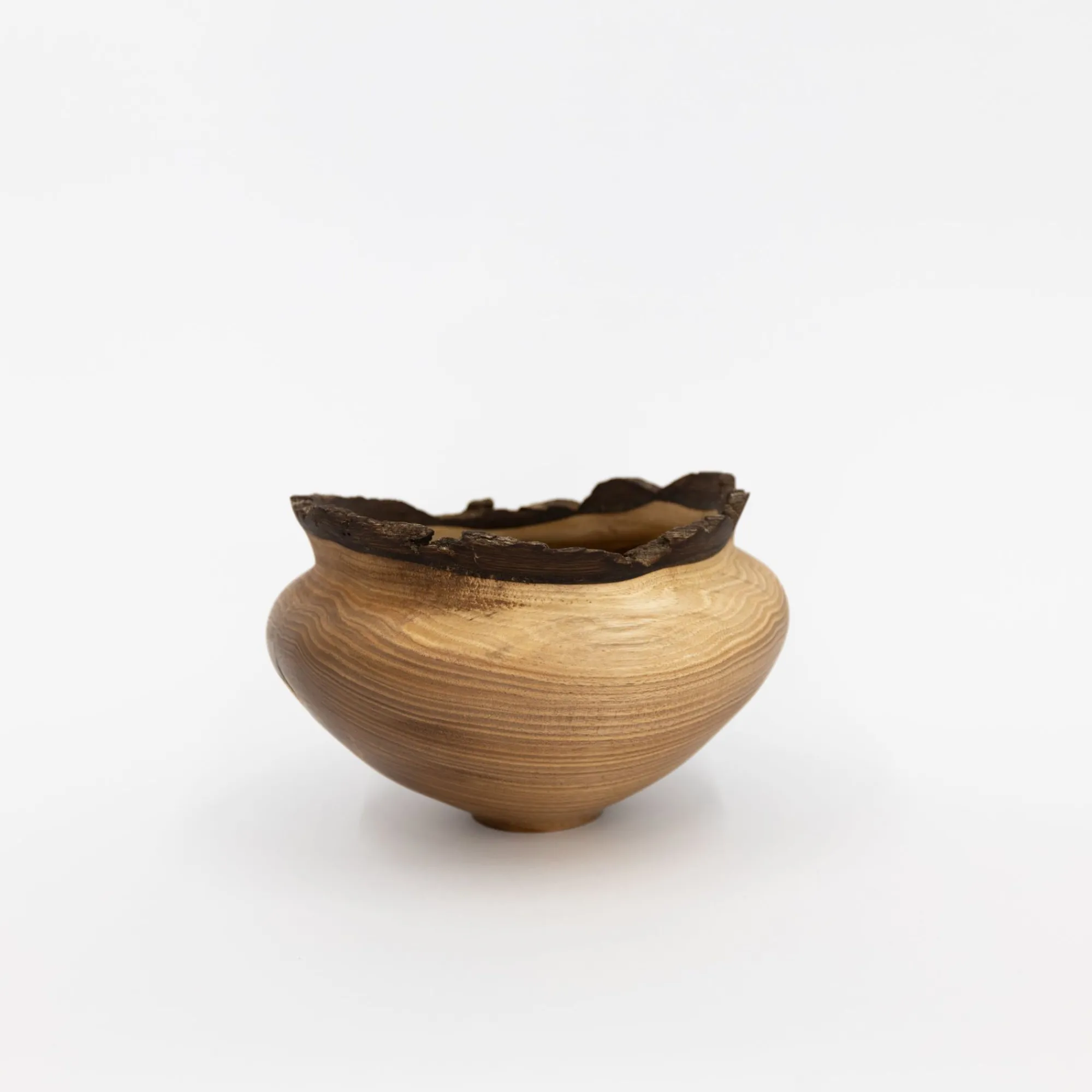 TORTOISE Art*Wooden Bowl Sculpture By Kenji Usuda (2023)