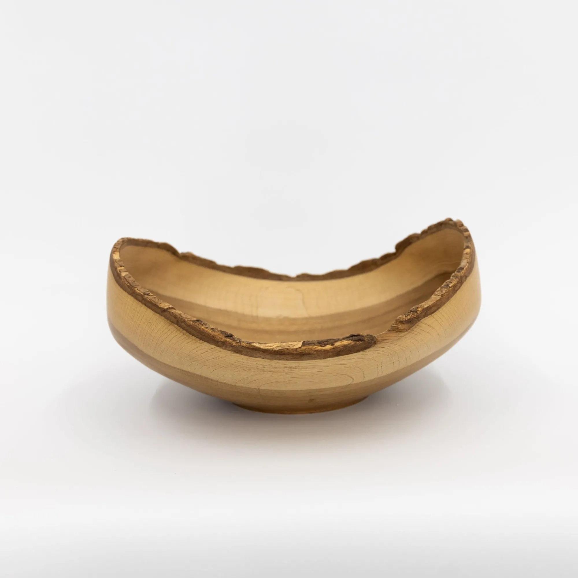 TORTOISE Art*Wooden Bowl Sculpture By Kenji Usuda (2023)