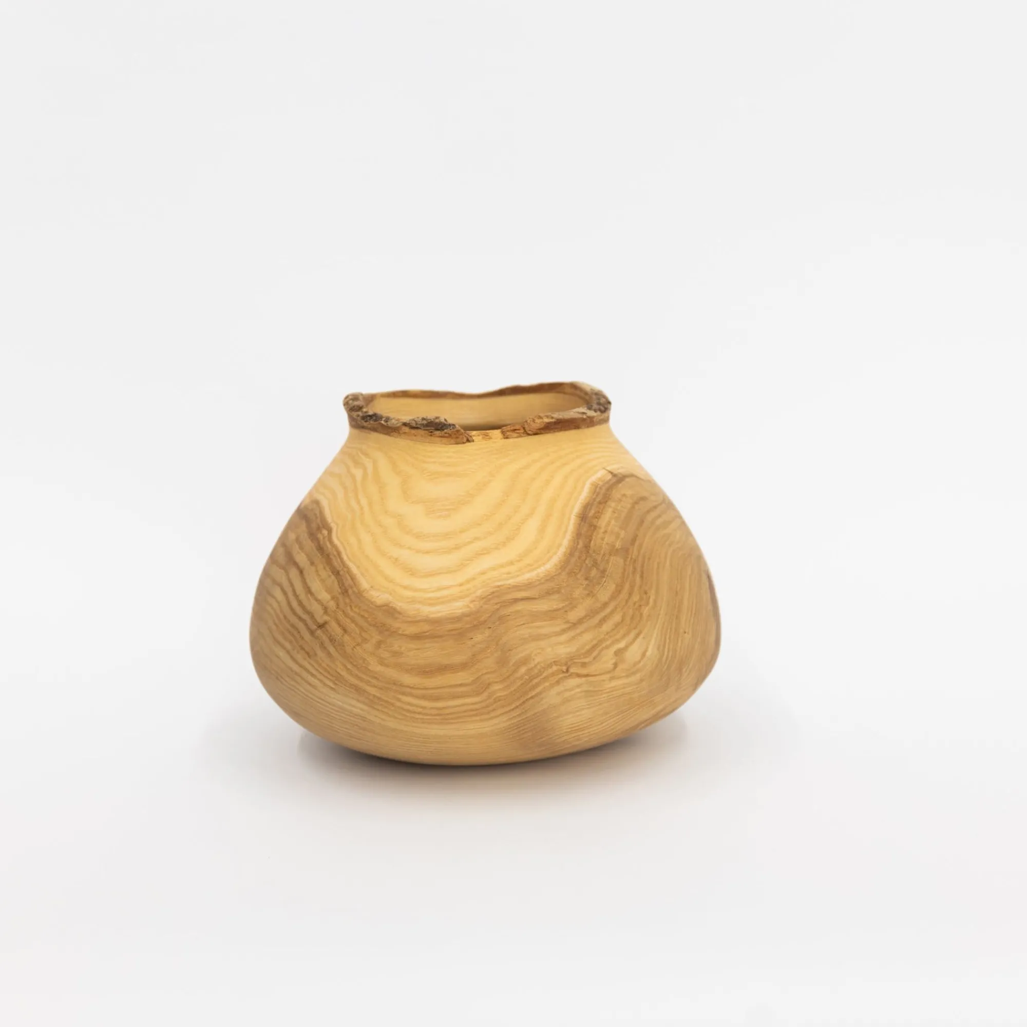 TORTOISE Art*Wooden Bowl Sculpture By Kenji Usuda (2023)