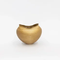 TORTOISE Art*Wooden Bowl Sculpture By Kenji Usuda (2023)